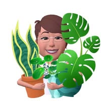 Linda Rounds's profile image