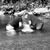 Michelle Caudill's profile image