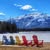Dianne Ingle Cathcart's profile image