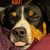 Allison Duran's profile image