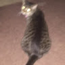 Hailey F.'s profile image