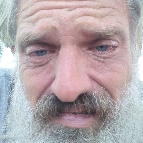 David's profile image