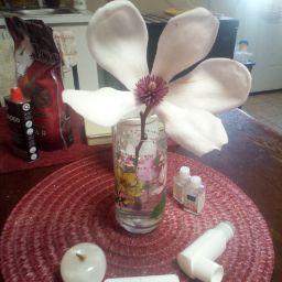 DREA LACOMBE (Drea)'s profile image