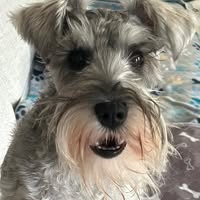 Michelle L Botruff-Lawlor's profile image