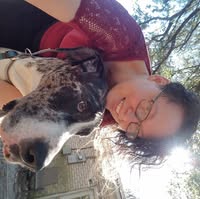 Jaime Abbott's profile image
