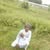 Mustafa Ismail's profile image