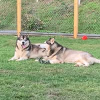 Gordon Fultz's profile image