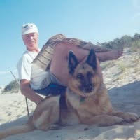 Bill Gilbert's profile image