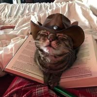 Debra Whisenhunt's profile image