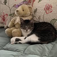 Jean Miller's profile image