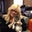 Sharlene Lustig's profile image