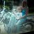Diane Guy Benedis's profile image
