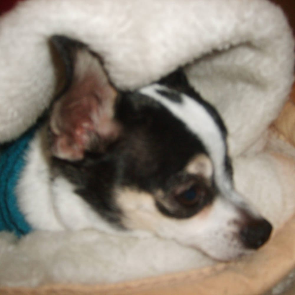 Kristine K.'s profile image