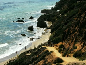 Jazz L.'s profile image