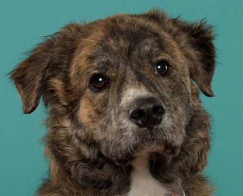 Chien P.'s profile image