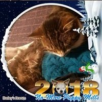 Christa D.'s profile image