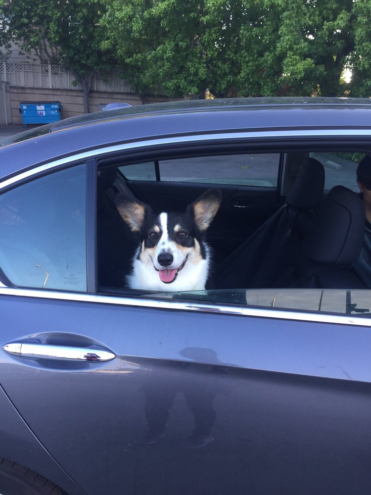 Bella D.'s profile image