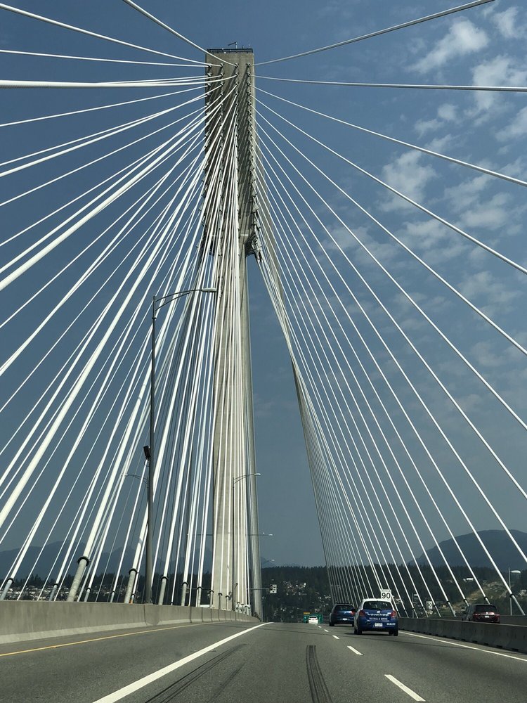 Jocelyn Y.'s profile image