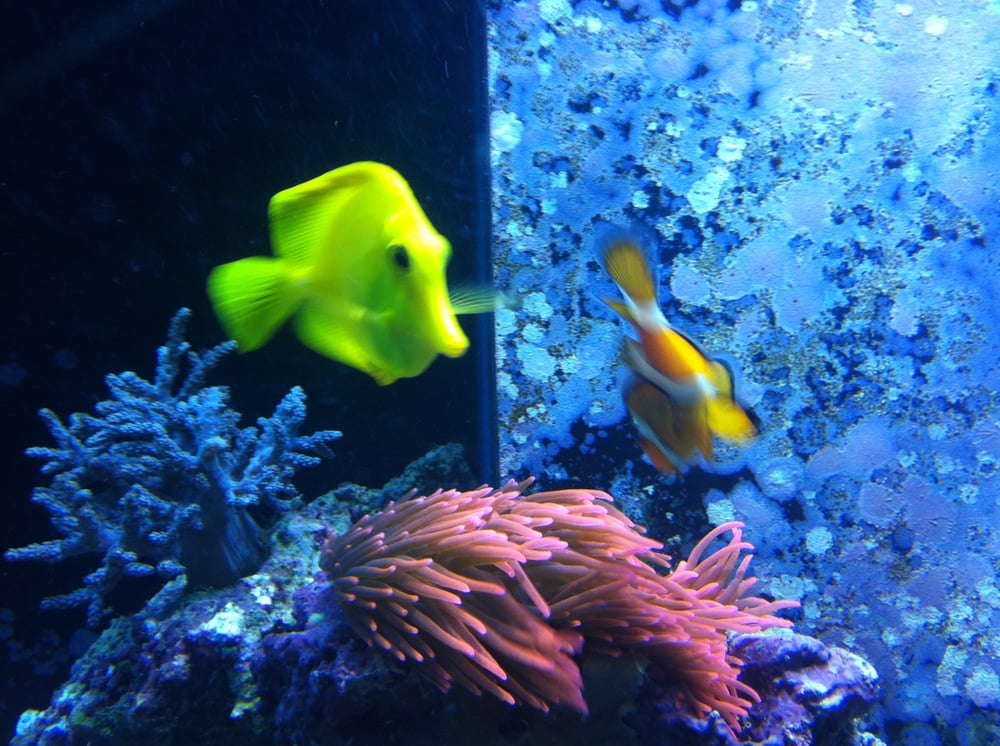 Monica G.'s profile image