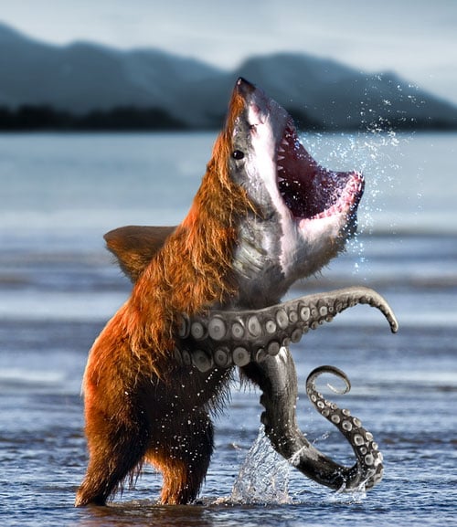 Chester L.'s profile image