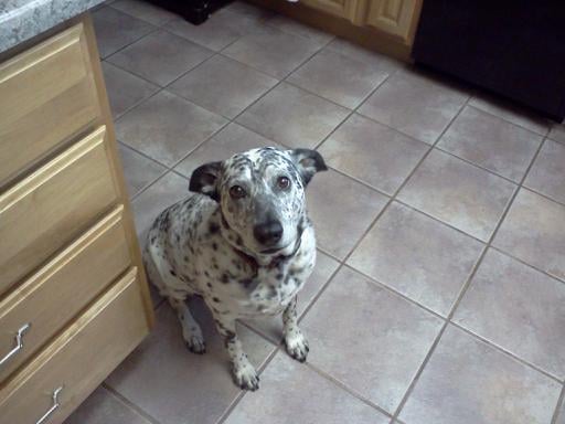 Kristen M.'s profile image