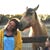 Shannon Chappell Thompson's profile image