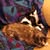Sheila Hamill's profile image