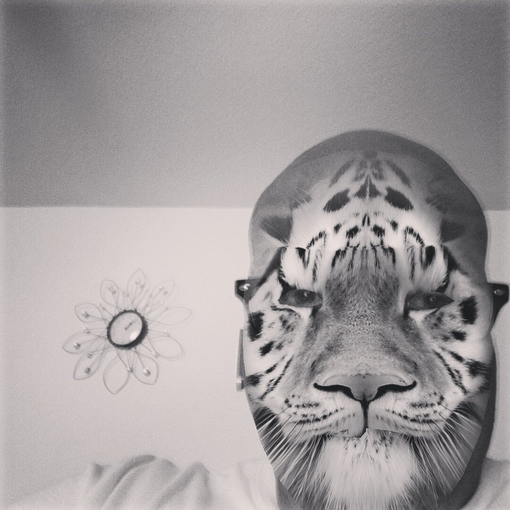 Will D.'s profile image