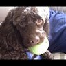Jennifer H.'s profile image