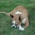 Donna Stevens DiNatale's profile image