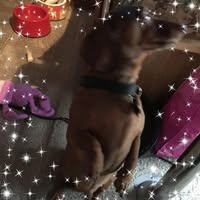 Gaylon Baker's profile image