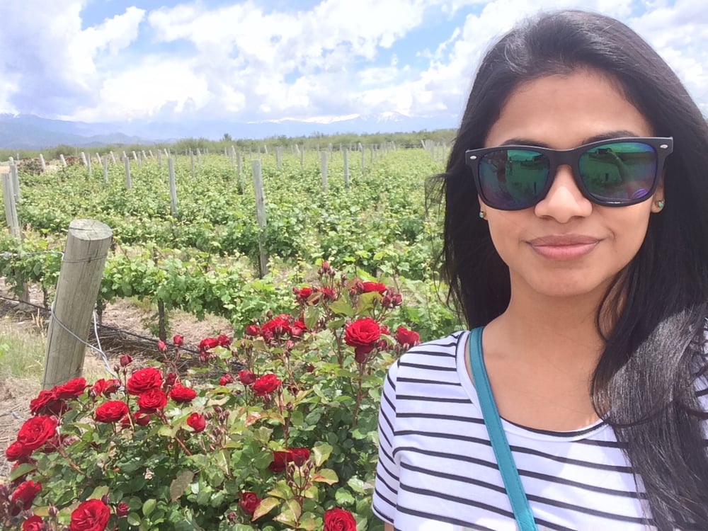 Rosemary T.'s profile image