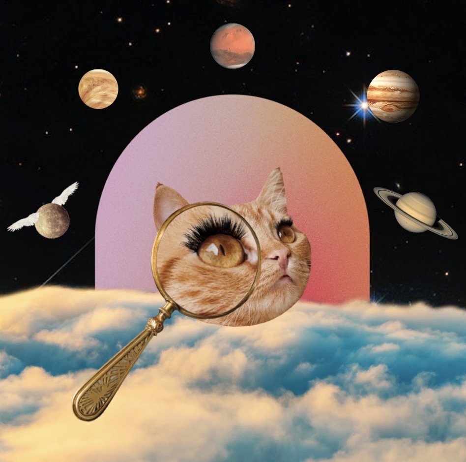 Kylie V.'s profile image