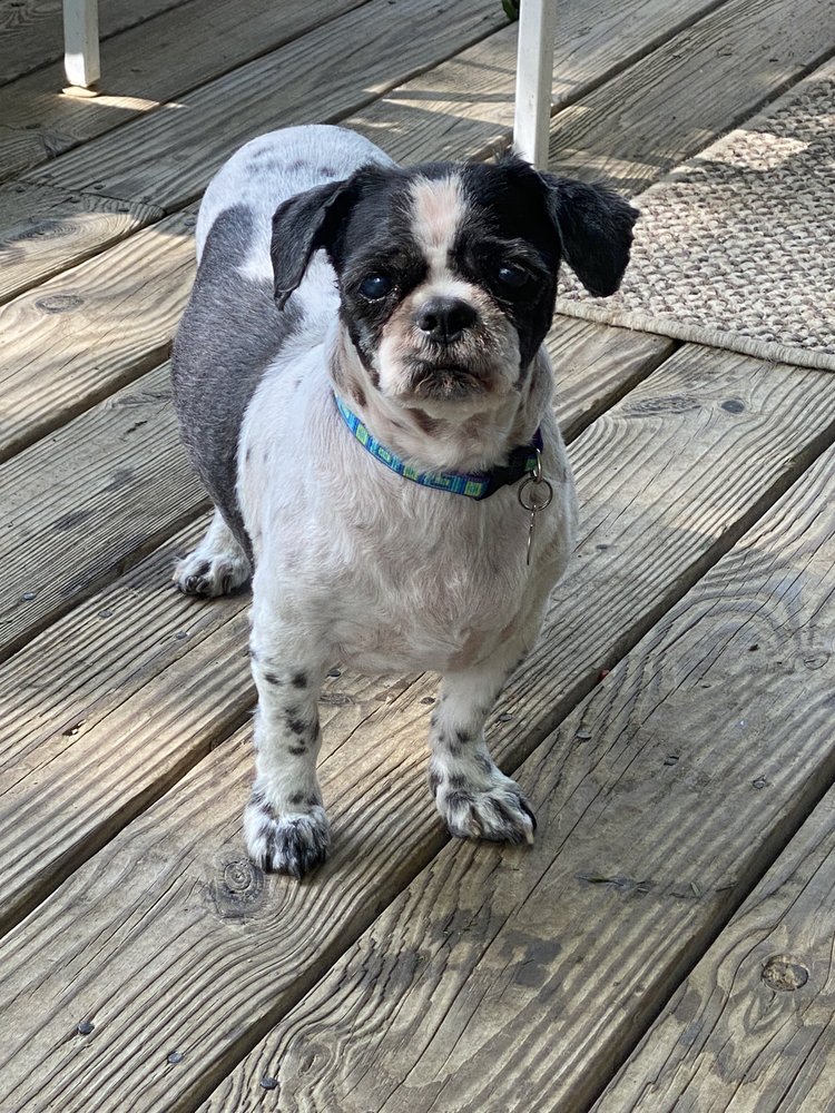 Grace C.'s profile image