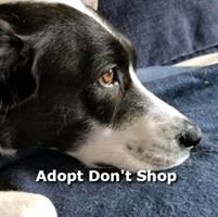 Lisa T.'s profile image