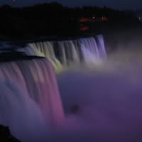 Bob Rubner's profile image
