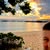Doris Ashbaugh's profile image