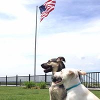 Max L.'s profile image