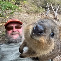 Michael Dickson's profile image
