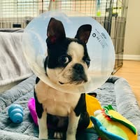 Joel Brual's profile image
