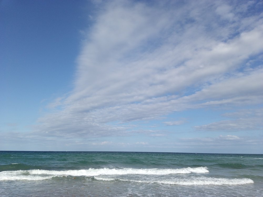 M P.'s profile image