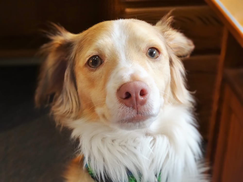 Heather C.'s profile image