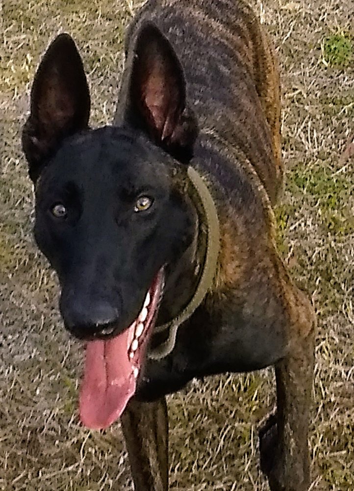 P. R. A.'s profile image