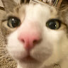 J Maxine M.'s profile image