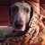 Kathy Boynton's profile image