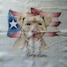 Nez R.'s profile image