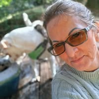 Diana Grace's profile image