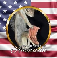 D.D. Crosby's profile image