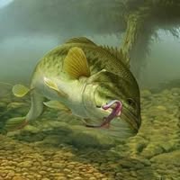 Michael Utt's profile image