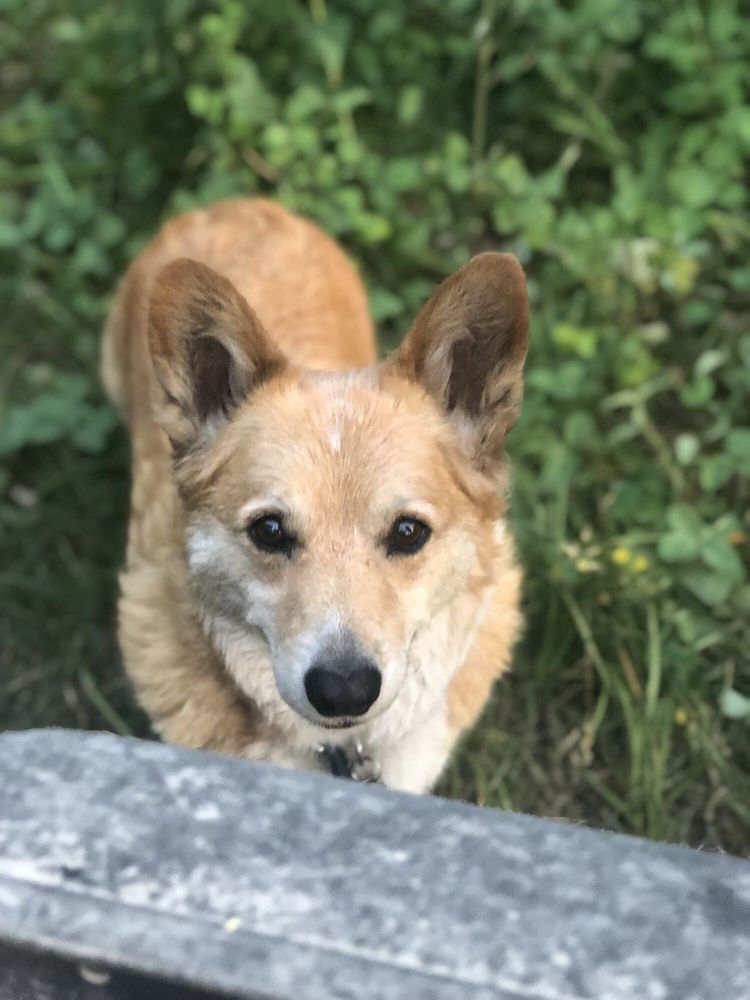 Daynna D.'s profile image